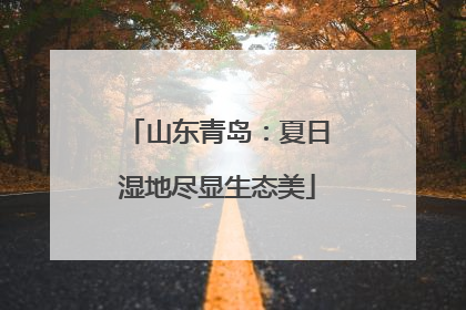 山东青岛：夏日湿地尽显生态美